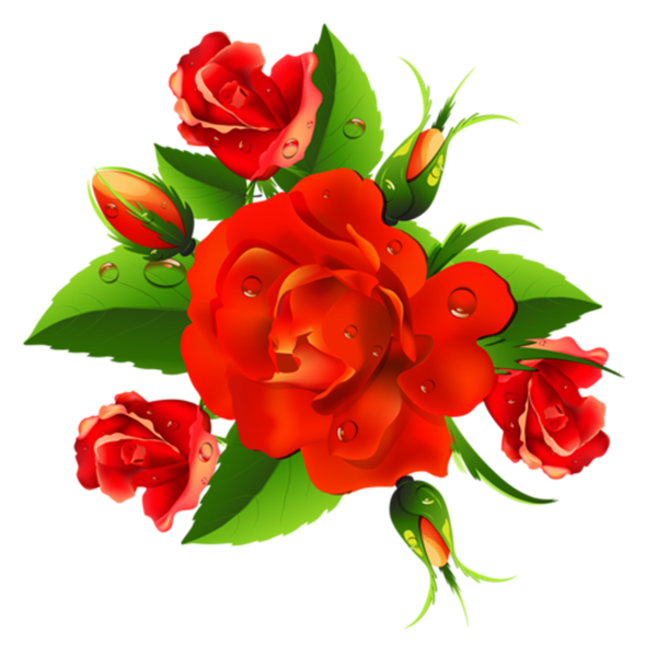 https://banner.holidaypng.com/20191018/bju/flower-red-plant-for-mothers-day-5da95634c5de49.07034756.png