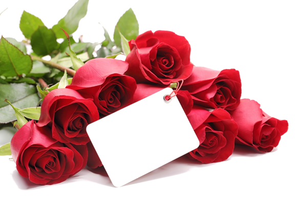 Transparent Valentine S Day Propose Day Love Petal Plant for Valentines Day
