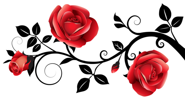 Transparent Rose Black Rose Blog Heart Love for Valentines Day