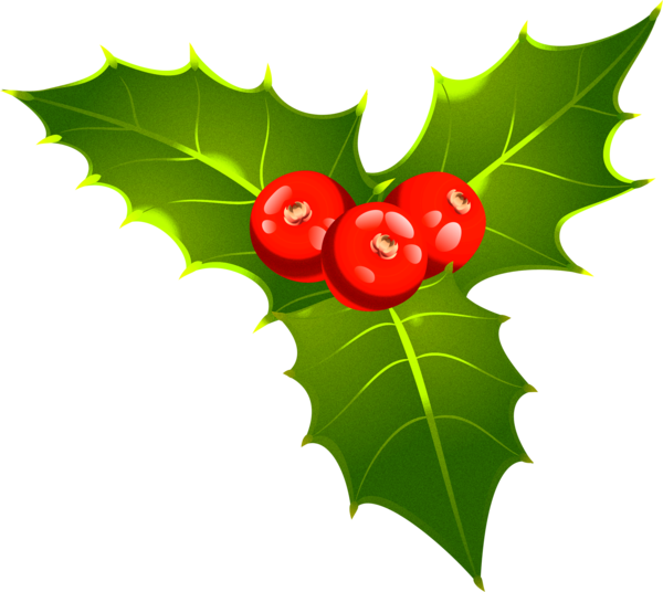 Clip Art Christmas Mistletoe Christmas Day Aquifoliaceae Leaf for ...