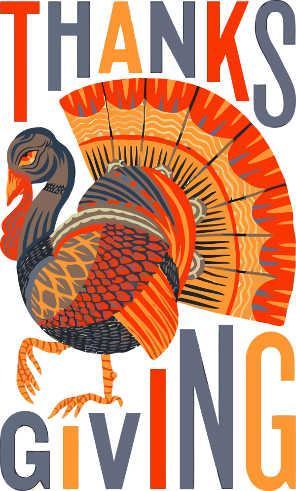 Transparent Thanksgiving Turkey Bird Wild turkey for Thanksgiving Turkey for Thanksgiving