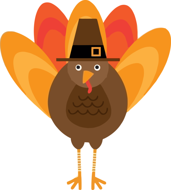 Transparent Thanksgiving Cartoon Chicken Thanksgiving for Thanksgiving Turkey for Thanksgiving