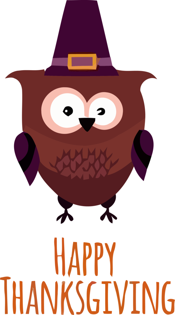 Transparent Thanksgiving Owl Cartoon Eastern Screech owl for Thanksgiving Owl for Thanksgiving