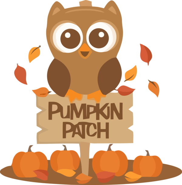 Transparent Thanksgiving Owl Orange Cartoon for Thanksgiving Owl for Thanksgiving