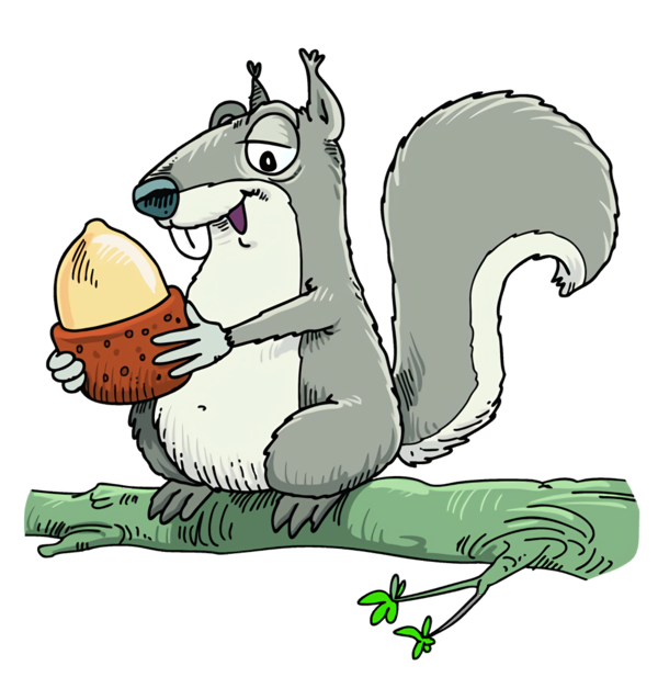 Transparent Thanksgiving Squirrel Cartoon Grey squirrel for Acorns for Thanksgiving