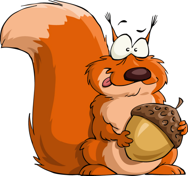 Transparent Thanksgiving Cartoon Squirrel Eurasian Red Squirrel for Acorns for Thanksgiving