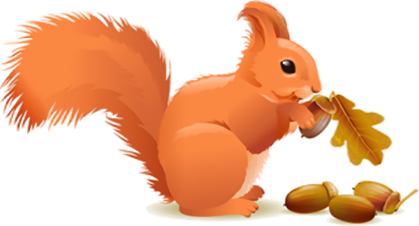 Transparent Thanksgiving Squirrel Eurasian Red Squirrel Cartoon for Acorns for Thanksgiving