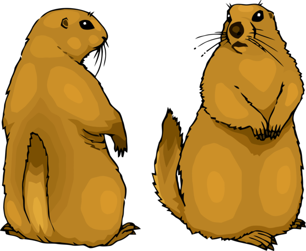 Transparent Groundhog Day Groundhog Fur seal Gopher for Groundhog for Groundhog Day