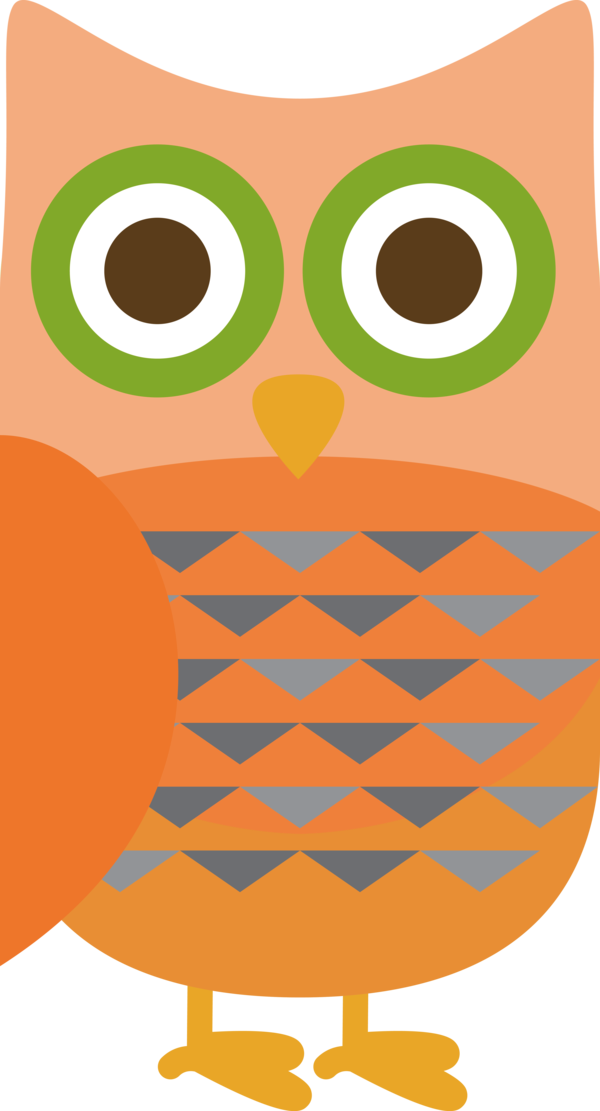 Transparent thanksgiving Birds Owls Beak for Thanksgiving Owl for Thanksgiving