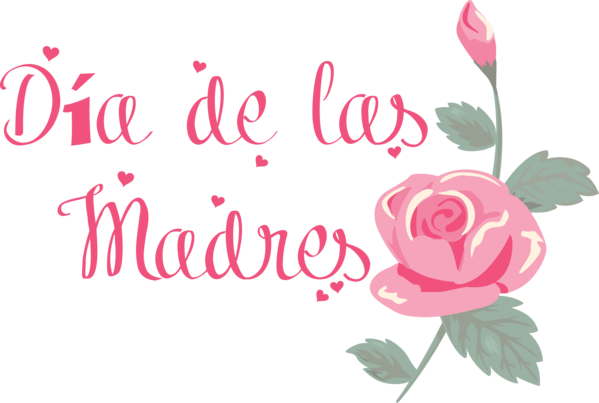Transparent Mother's Day Floral design Garden roses Rose for Día de las Madres for Mothers Day